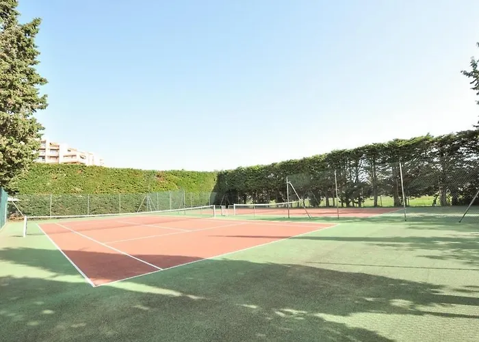 3 Pieces Confort Et Calme - Proche Cannes & Plages Апартаменты Мандельё-ла-Напуль